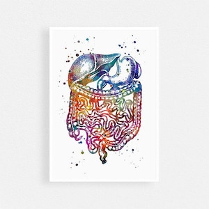 Gastrointestinal Tract Anatomy Art Watercolor Print, Human Internal Organs, Digestive System, Doctor office Decor