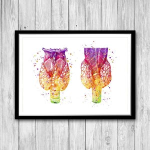 endokrinologie Kunst menschliche Schilddrüse Aquarell Druck Arzt-Endokrinologen Bürodekor