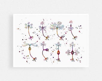 Science Decor, Types of Neurons Watercolor Print, Neuroscience Wall Art