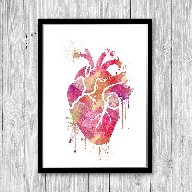 Human Heart Print Set Anatomy Art Watercolor Heart Set of 3 Prints ...