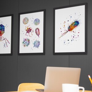 May include: Three framed watercolor illustrations of different types of microbes. The first image shows a bacteriophage, the second shows a collection of different microbes, and the third shows a bacterium.