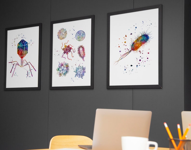 May include: Three framed watercolor illustrations of different types of microbes. The first image shows a bacteriophage, the second shows a collection of different microbes, and the third shows a bacterium.