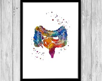 Large and Small Intestine Watercolor Print in Blue - Anatomy Art - Etsy ...