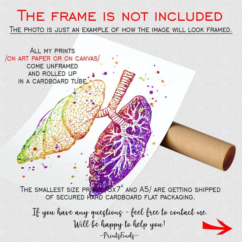 Anatomical Lungs Anatomy art print, Med student gift, Medical art poster Watercolor Decor for Doctor office image 5