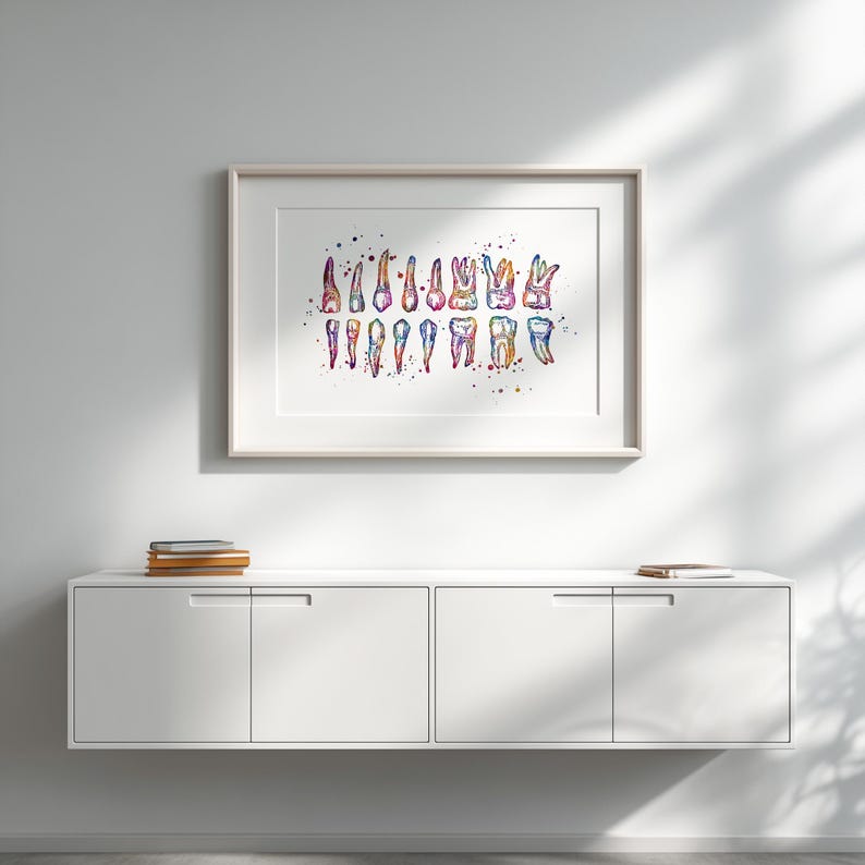 Dental anatomy poster with multicolor tooth illustrations on white