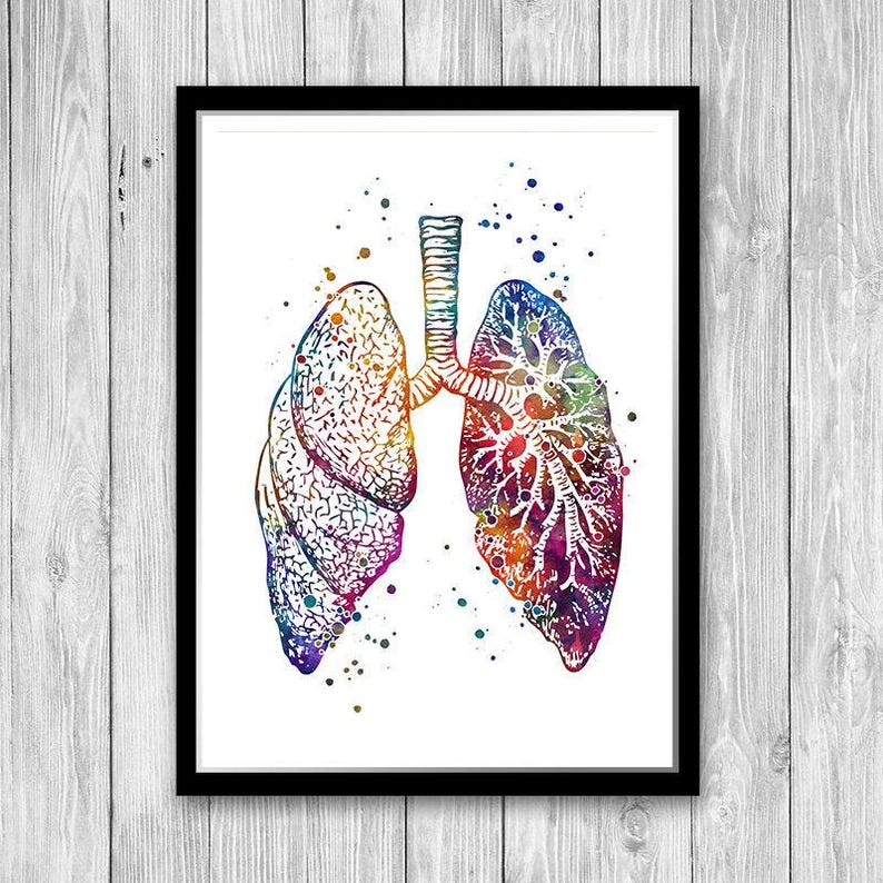 Anatomy Art DEALS Set of Prints Human Heart Brain Lungs Watercolor Wall Art for Doctor Office Decor Medical art image 6