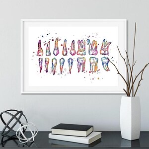 Colorful Watercolor Teeth Chart Print, Dentist Office Wall Art, Dental School Anatomy Poster image 10