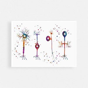 Neuroscience Art, Types of Neurons Watercolor Print, Nerve Cells Biology Poster