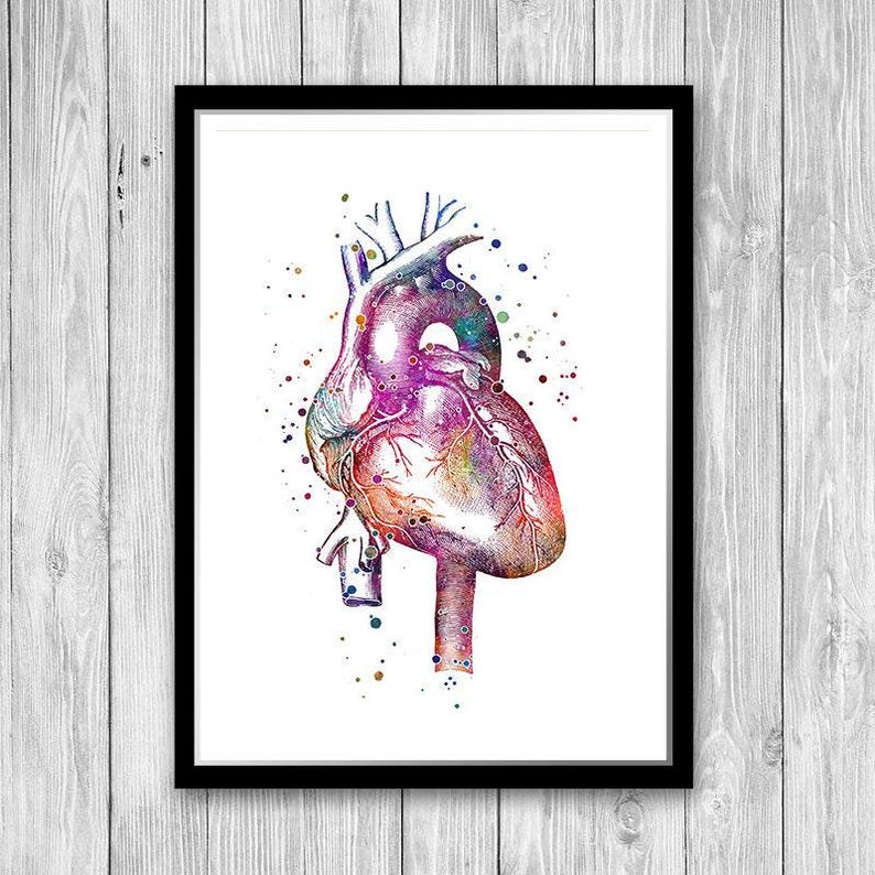 Anatomical Heart Watercolor Print Anatomy Art Doctor Office Decor ...
