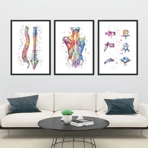 Arte de fisioterapia, conjunto de 3 pôsteres médicos em aquarela, impressões coloridas de quiropraxia, decoração de parede de clínica de fisioterapia, anatomia humana