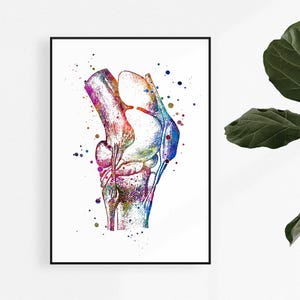 Knee Anatomy Art Watercolor Print - Orthopedic Surgeon Gift - Doctor Office Decor - Medical Poster