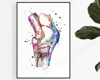 Knee Anatomy Art Watercolor Print - Orthopedic Surgeon Gift - Doctor Office Decor - Medical Poster