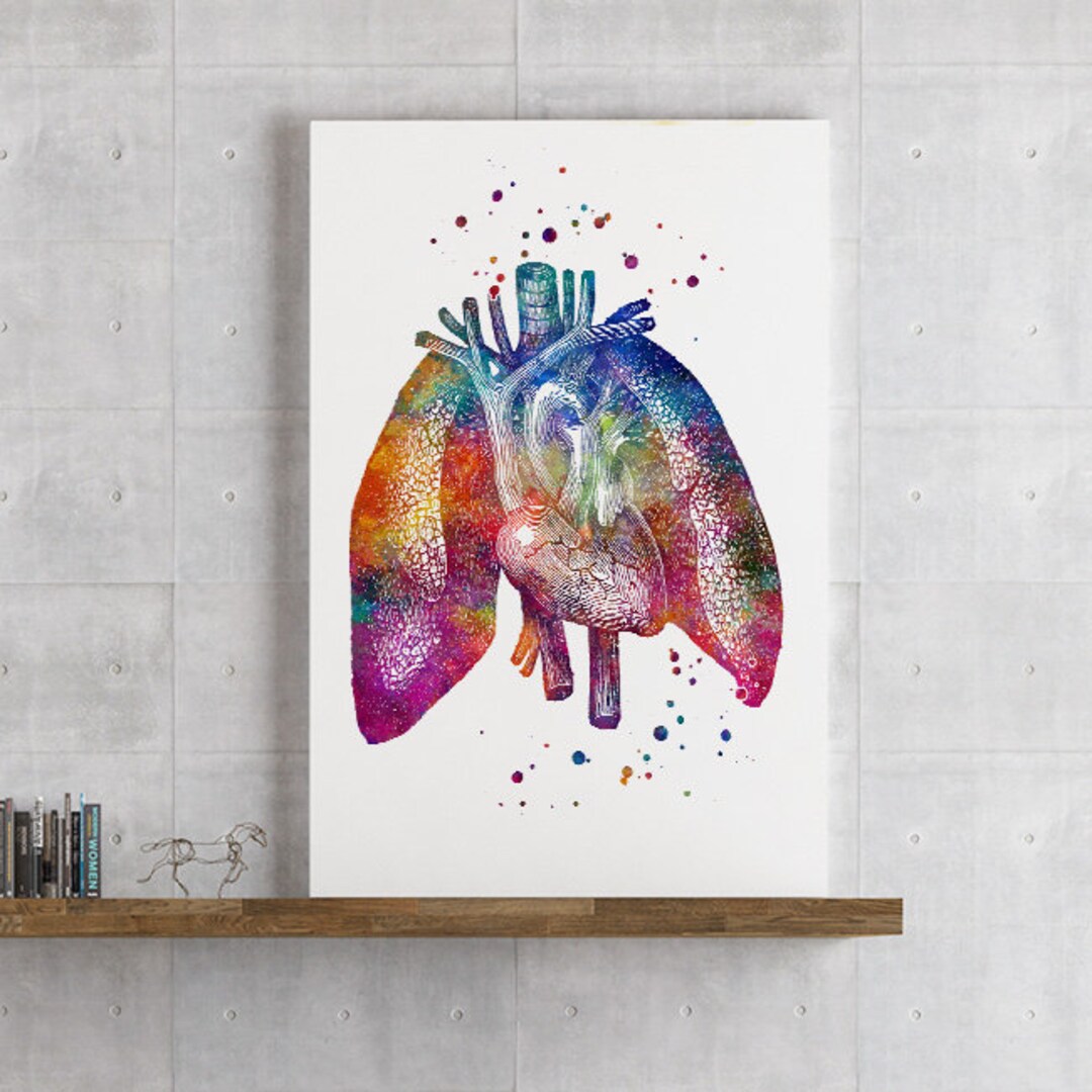 Human Lungs and Heart Watercolor Print Anatomy Art Medical - Etsy