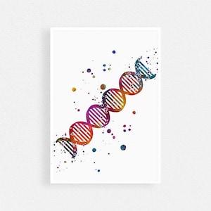 DNA Watercolor Print Science Wall Art Genetics Professor office decor Biology Teacher Gift Painting Poster