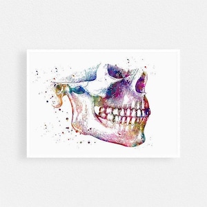 Mandible and Maxilla print | Lower Jaw and Upper Jaw surgery dentist gift | Orthognathic surgery | Dental art | Human anatomy art