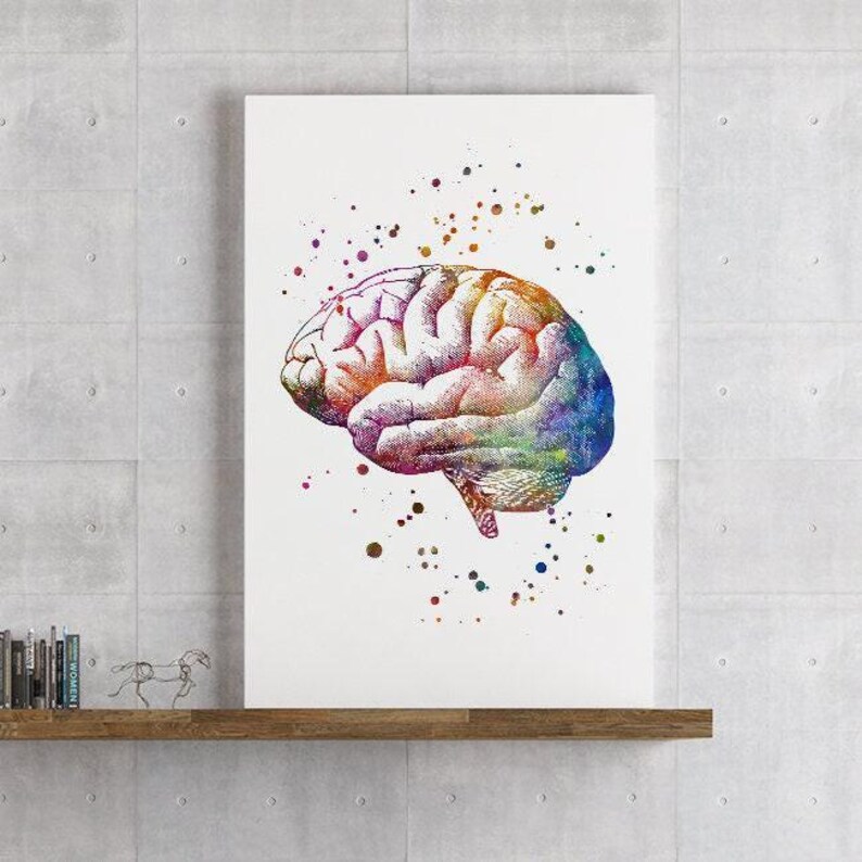 Brain Anatomy Art Print | Medical Office Decor | Human Anatomy ...