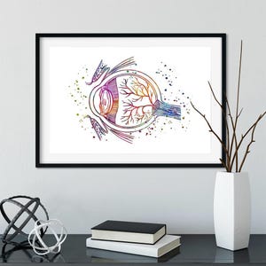 Augenanatomie-Kunst, bunter anatomischer Aquarelldruck, Augenärztin, Augenärztin, Augenheilkunde, Augenheilkunde, Augenheilkunde, Optometrie Poster