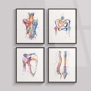 Decoração de consultório de fisioterapia, impressões em aquarela de arte de fisioterapia, conjunto de 4 pôsteres anatômicos coloridos, arte de parede de clínica de fisioterapia