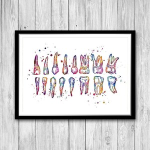 Colorful Watercolor Teeth Chart Print, Dentist Office Wall Art, Dental School Anatomy Poster image 9
