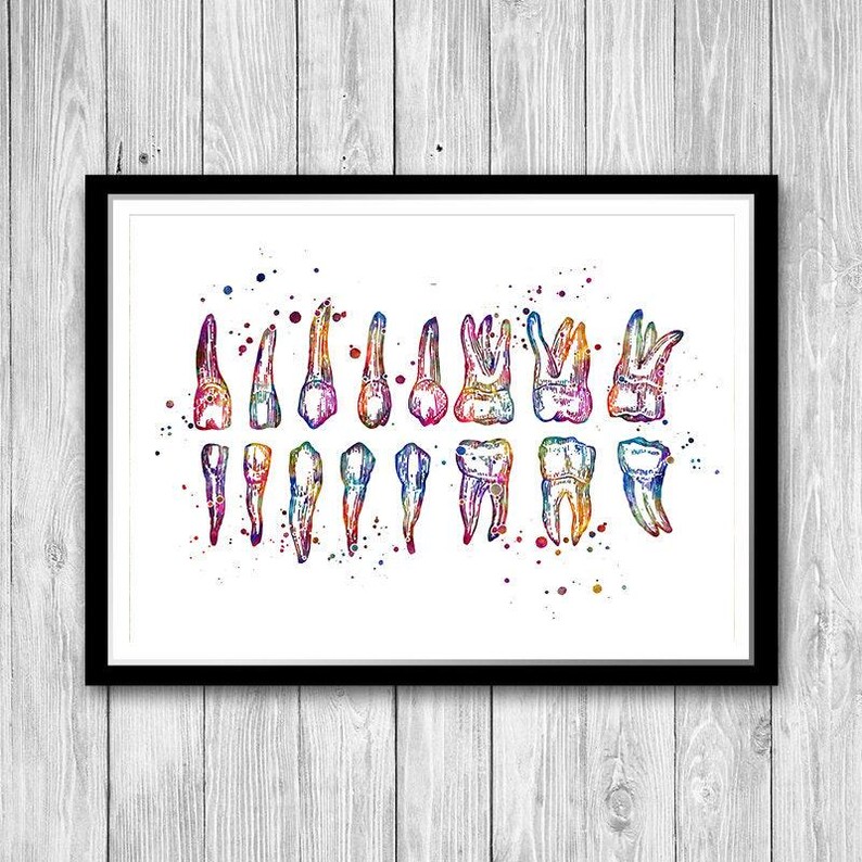 Colorful Watercolor Teeth Chart Print, Dentist Office Wall Art, Dental School Anatomy Poster image 9