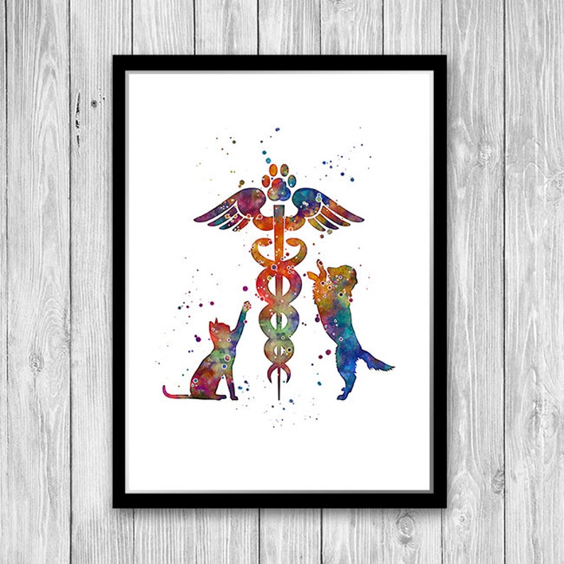 May include: A watercolor painting of a veterinary symbol with a cat and dog on either side. The symbol is a snake wrapped around a staff with wings. The background is white with colorful watercolor splatters.