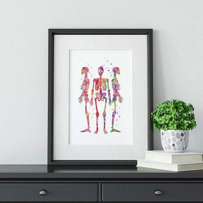Human Skeleton Watercolor Print Anatomy Art Doctor Orthopedic Office ...