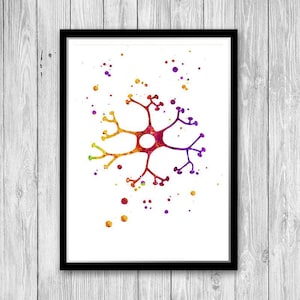 Neuron Art Print Interneuron Cell Neuroscience Watercolor Wall Art Print Neurologist Birthday Gift Neurology Clinic Decor for Doctor office