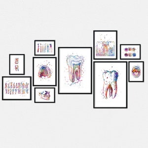 Dental art for dentist office wall decor, Set of 10 watercolor prints, Graduation gift