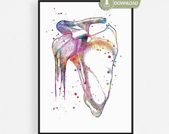Shoulder Joint Anatomy Art Digital Download, Watercolor Scapula Humerus, Orthopedic, Physical Therapist or Chiropractor Office Decor