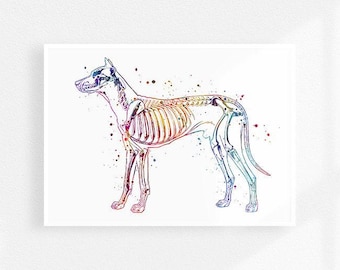 Veterinärmedizin Wanddekor, Hundeskelettsystem Aquarell Kunstdruck, Tieranatomie Poster