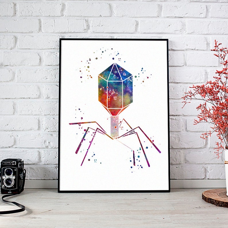 Science Decor Bacteriophage Virus Biology Art Print Etsy