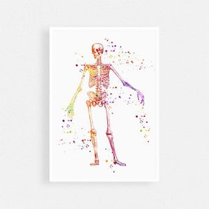 Human Skeleton Anatomy Art Doctor Birthday Gift Art Print, Medical School Graduation Present, Human skull and bones Watercolor Art Print