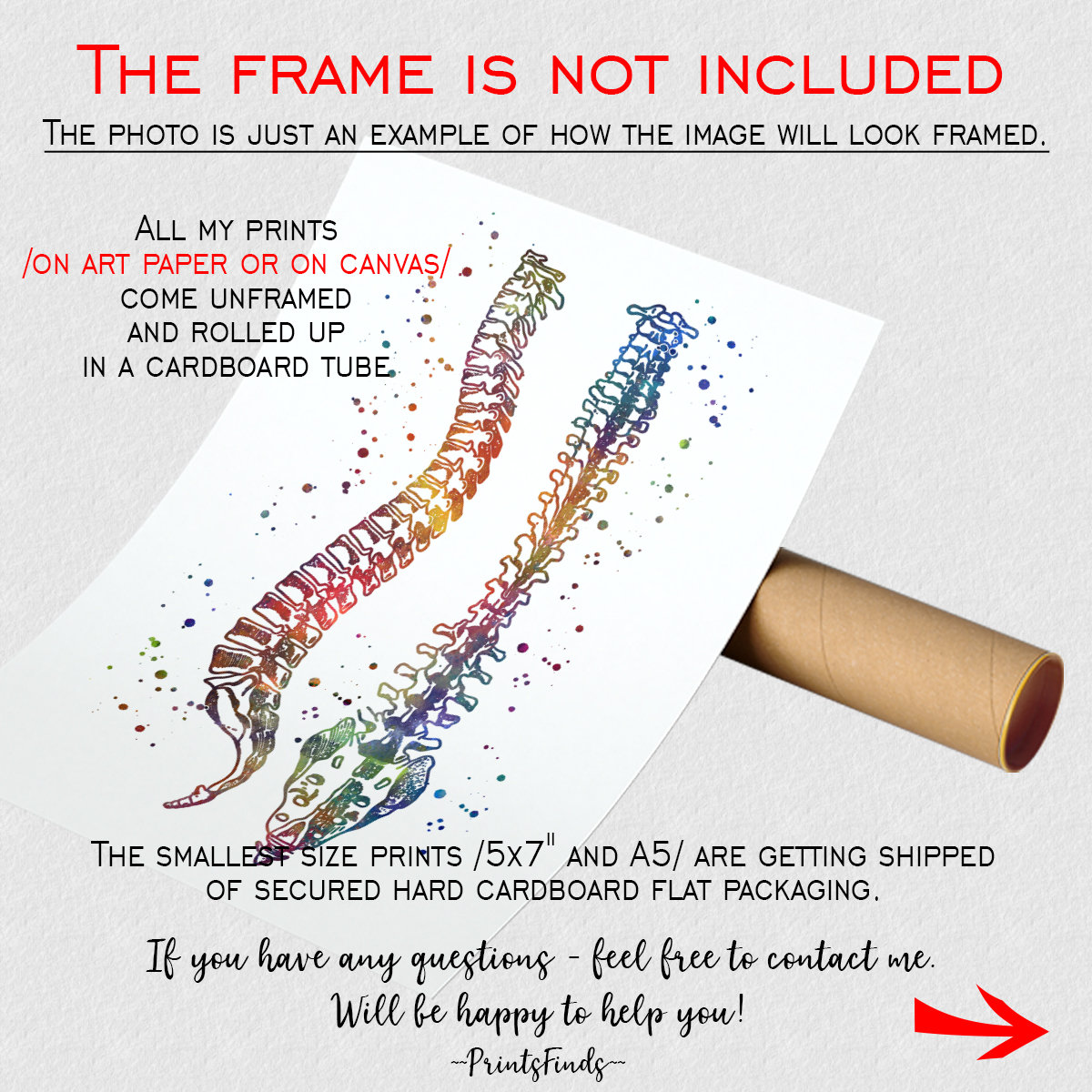 Gift for Chiropractor - Anatomical Watercolor Prints Set of 3 ...