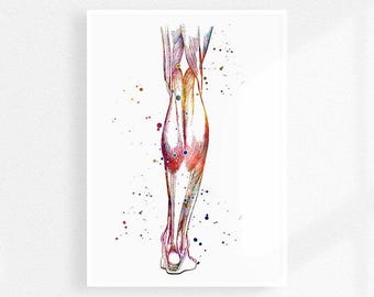 Physiotherapist Office Decor Human Leg Anatomy Art Watercolor Print Chiropractic Poster