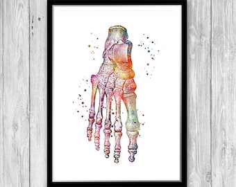 Foot Anatomy Watercolor Print Doctor Orthopedic Office Decor Feet Bones Medical Poster