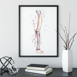 Human Leg bones anatomy art watercolor print, Orthopedic surgeon, Rehabilitation Specialist office decor, Medical Poster for clinic wall art