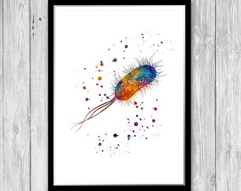 E Coli Watercolor Print Microbiology Art Bacteria Wall Art Microbiologist Gift Science Decor