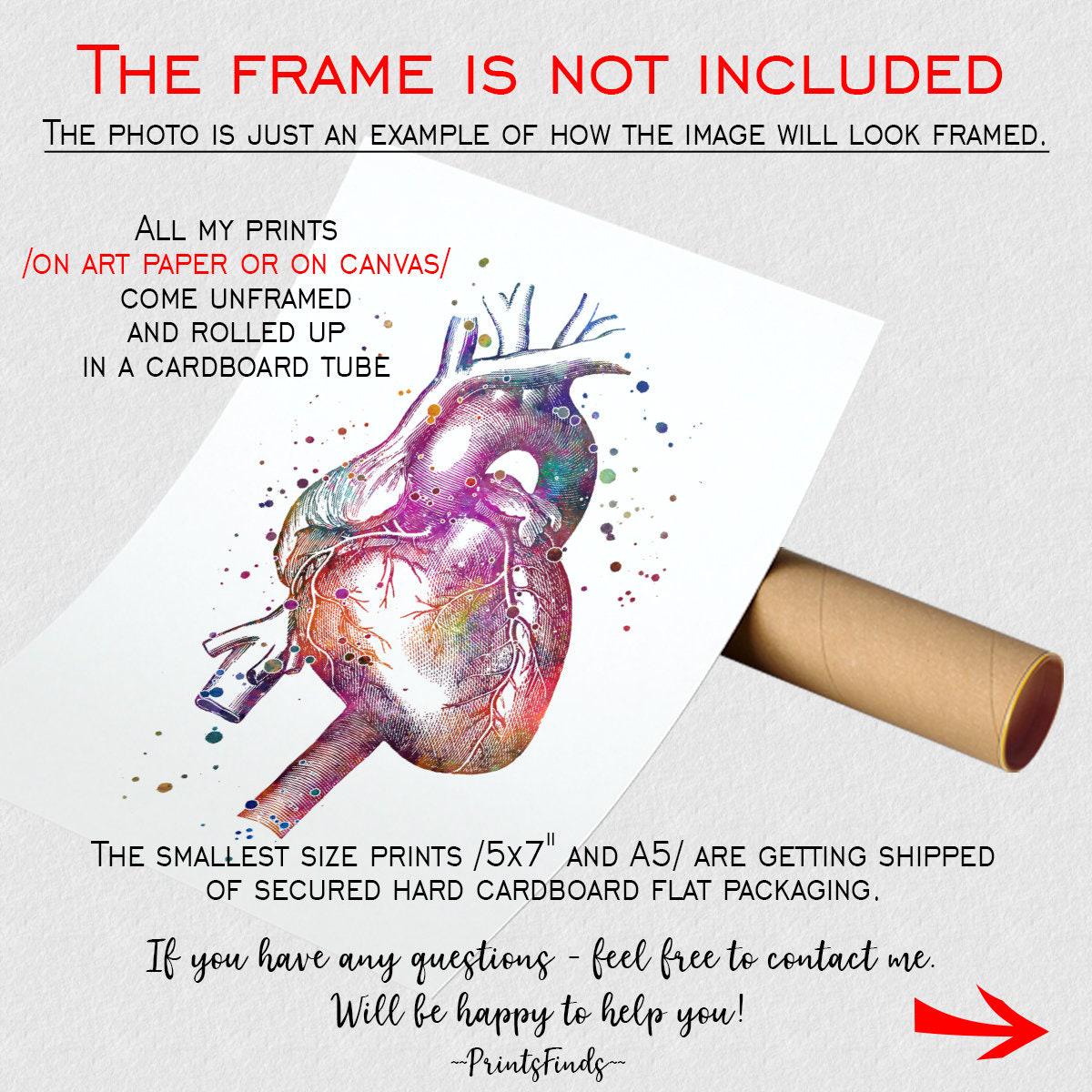 Anatomical Heart Watercolor Print Anatomy Art Doctor Office Decor ...