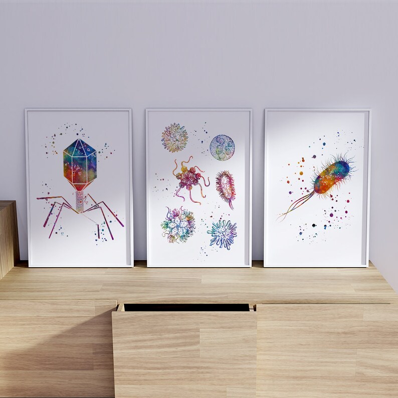 May include: Three watercolor illustrations of different types of microbes. The first image shows a bacteriophage with a colorful icosahedral head and tail fibers. The second image shows a collection of different bacteria, including cocci, bacilli, and spirilla. The third image shows a single bacterium with a colorful, elongated shape.