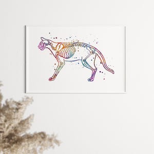Cat Skeletal Anatomy Art Print, Veterinary Wall Decor Science Poster, Detailed Feline Physiology Hanging Illustration, Scientific Kitty Bone