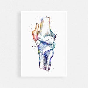 Impresión en acuarela de anatomía de la rodilla - Regalo para cirujano ortopédico - Decoración de consultorio de fisioterapeuta - Decoración de pared para clínica de reemplazo de articulaciones