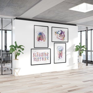 Arredamento per studio dentistico, Set di 4 stampe ad acquerello multicolori, Poster anatomici di denti umani e mascella, Carta o tela di alta qualità, Senza cornice