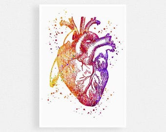 Anatomy Art, Human Heart Art Print, Valentines Gifts for Doctor