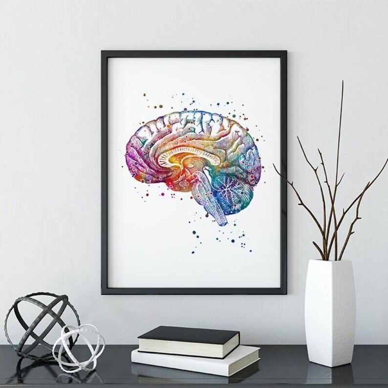Neuroanatomy Art Print | Brain Anatomy Cross Section | Watercolor ...