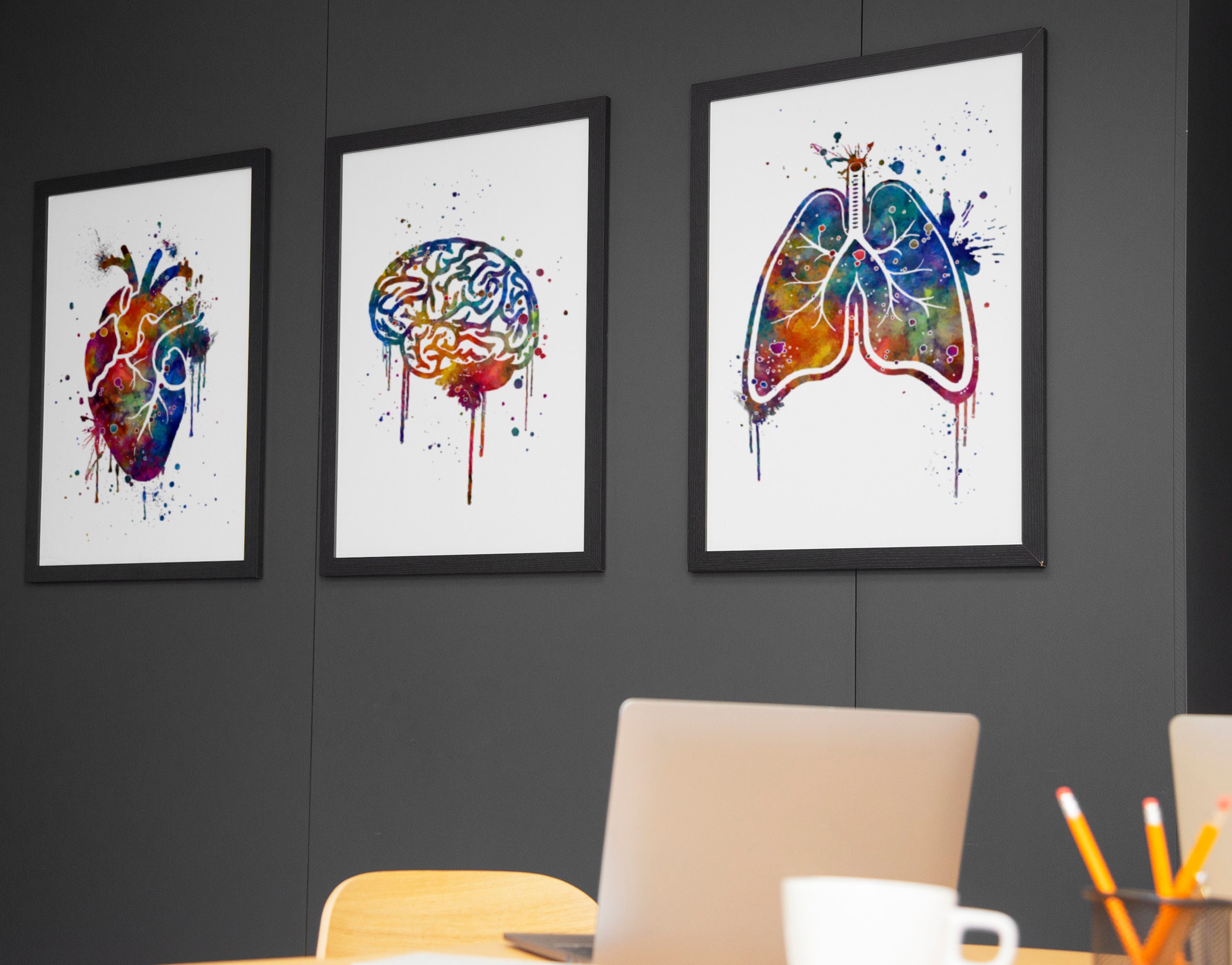 Doctor Office Decor, Anatomy Watercolor Set of 3 Art Prints, Human ...