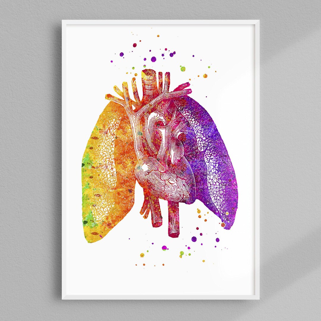 Pulmonary Office Decor, Lungs and Heart Colorful Watercolor Print ...