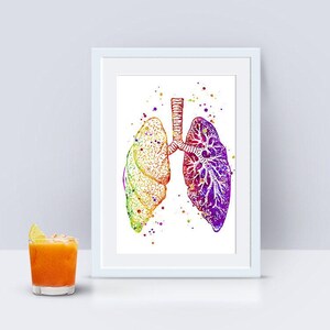 Anatomical Lungs Anatomy art print, Med student gift, Medical art poster Watercolor Decor for Doctor office image 3