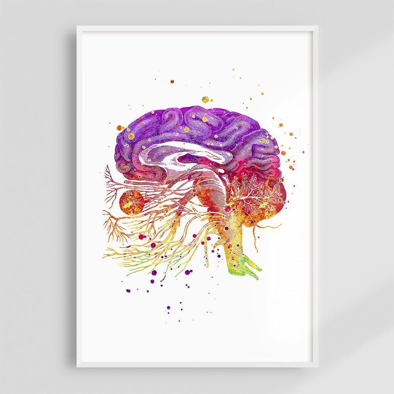 Human Brain Anatomy Art Print, Cranial Nerves Watercolor Poster, Doctor ...