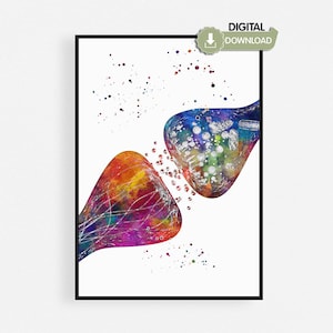 May include: Watercolor illustration of two neuron synapses in vibrant colors, including red, orange, yellow, blue, and purple. The image has a white background and a black frame. The text "DIGITAL DOWNLOAD" is in the upper right corner.