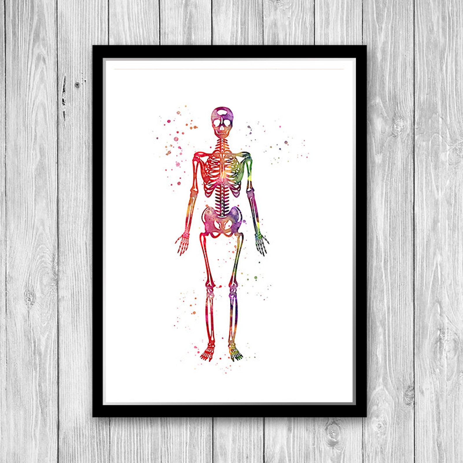 Human Anatomy Art Set of 3 Watercolor Heart Brain Skeleton | Etsy